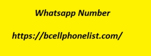 Whatsapp Number